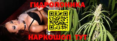 винт Лесосибирск